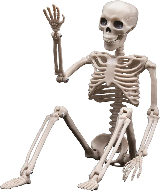 Halloween Skeletons, Halloween Decorations Skull, 16" Full Body Realistic Faux H