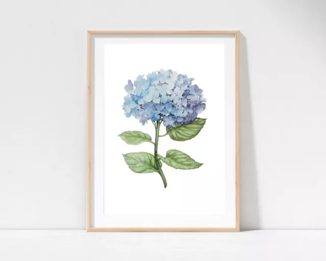 Hamptons Blue Flower Floral Hydrangea Print, Home Decor Poster Prints, Wall Art