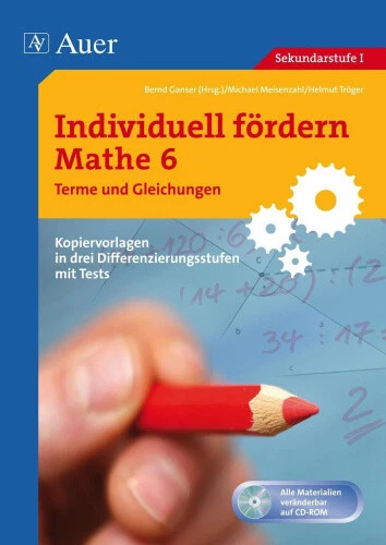 Individuell fördern Mathe 6 Terme und Gleichungen [German] by Ganser, Bernd