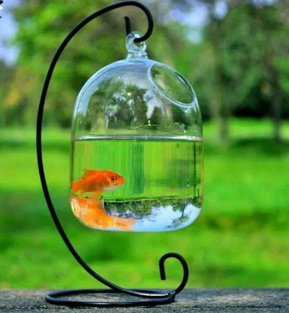 HANGING GLASS AQUARIUM 15cm HEIGHT BOWL FISH TANK CLEAR TRANSPARENT RACK CUTE