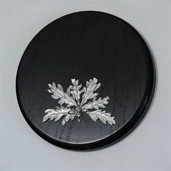 Placa de Jabalí Tablero Keiler Escudo Trofeo Redondo Oscuro Af 15cm Hoja Roble