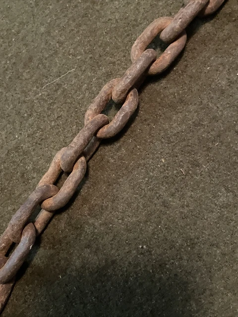Vintage Antique Chain Plant Hanger Farmhouse Steampunk Hearth Eye Hook 3