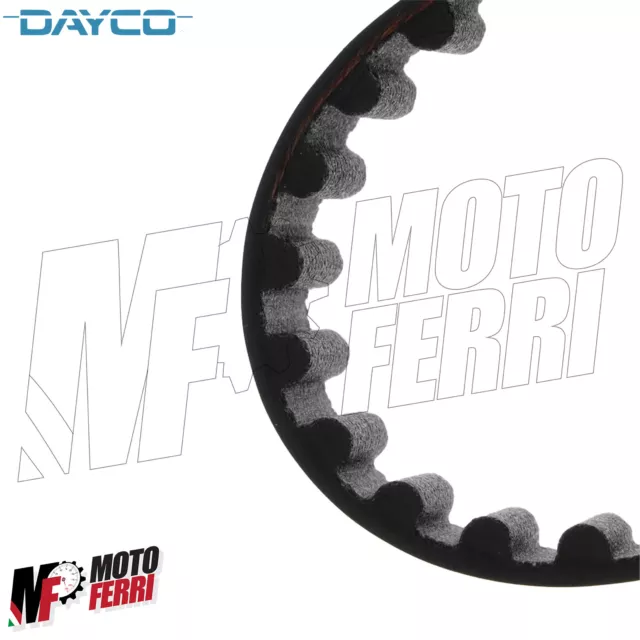 MF6559 - Set 2 Courroie Distribution Dayco Ducati Monster S2R 800 Mod 2005/2007 3