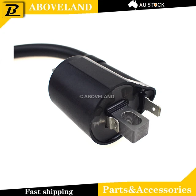 Ignition Coil For Quadzilla ATV Buzz 2K 2013 2014