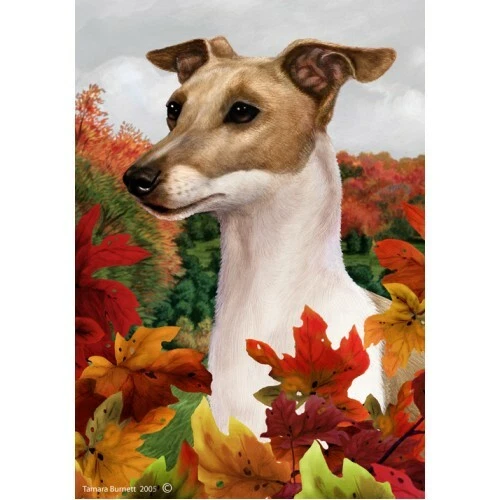 Fall Garden Flag (TB) - Italian Greyhound 130651