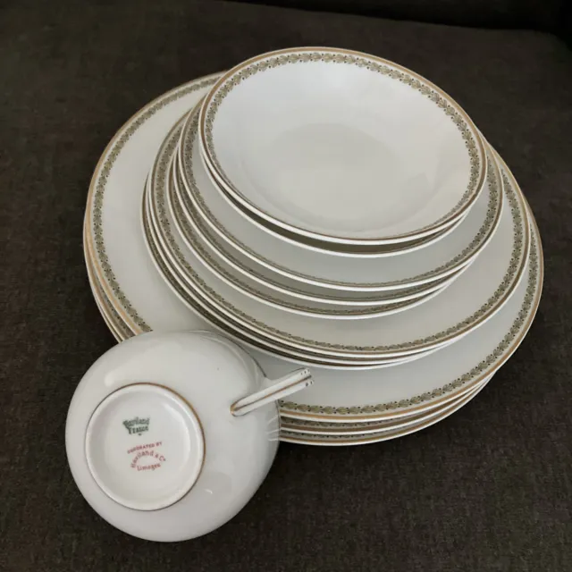 Haviland & Co Limoges Schleiger 573 Bone China Replacement Pieces  - YOU PICK!