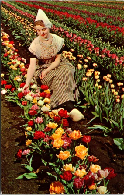 Dutch Maiden at May Tulip Festival Holland Michigan Vintage Postcard