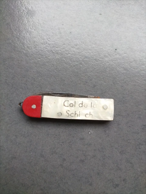 Broche Souvenir Ancienne Du Col De La Schlucht - Vintage, Occasion, Pièce De Collection Alsacienne