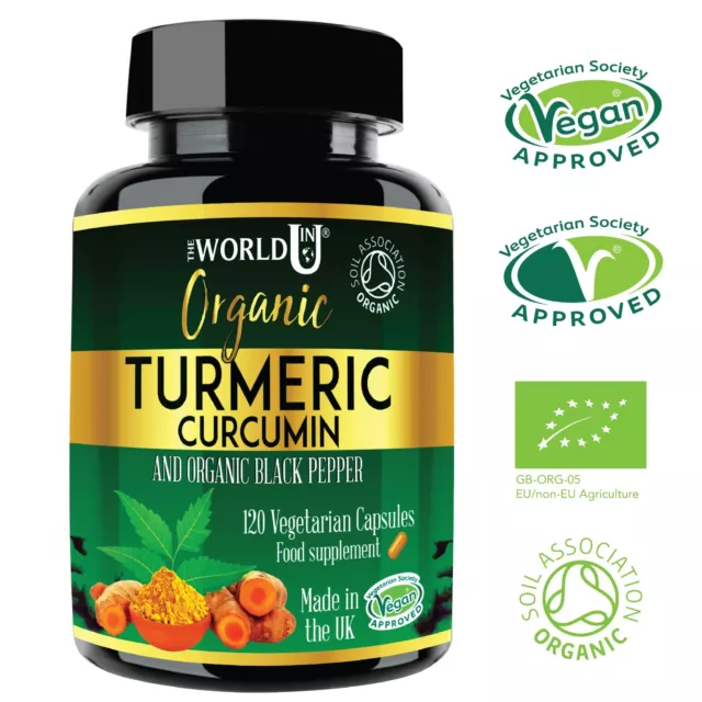 ORGANIC Turmeric Curcumin 4 MONTHS SUPPLY 120 Capsules +Black Pepper Tumeric