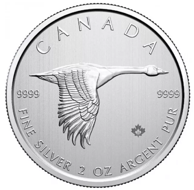 2 oz Canada Goose Silbermünze Royal Canadian Mint 2020 - RAR!