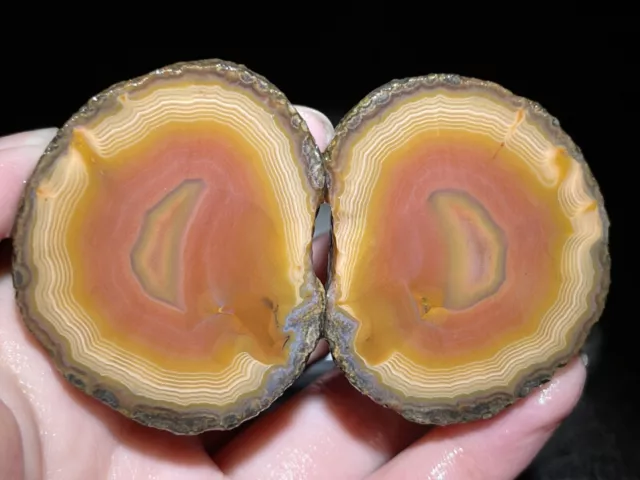 A Pair Rough Agate / Achat Nodule Chinese Fighting Blood Agate Xuanhua 105G Y53