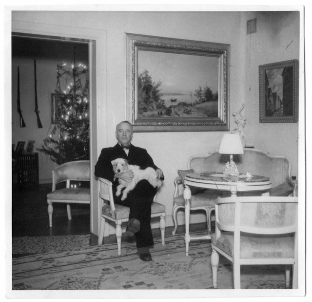 photo anonymous Christmas snapshot c.1950 hunter's Christmas tree - chien rifle