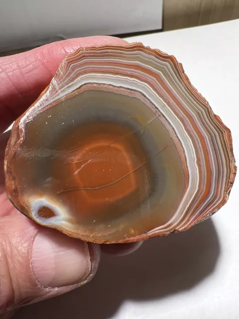 6.14oz Lake Superior Agate- Face Cut Nodule With Collector Grade Banding.