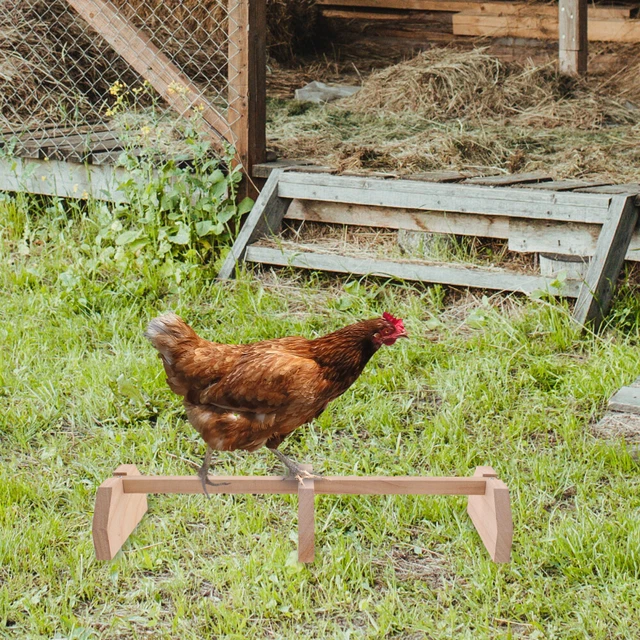 Perchoir à Poules En Bois Renforcé - 35x26 Cm, Portable, Gain De Place, Pour Poulailler Extérieur, Jardin - 8