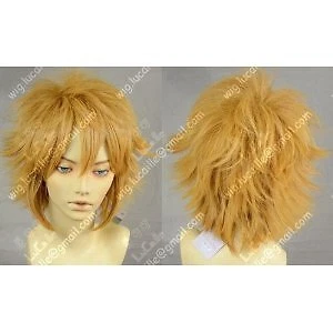 Kingdom Hearts Roxas Wig Net W246 2