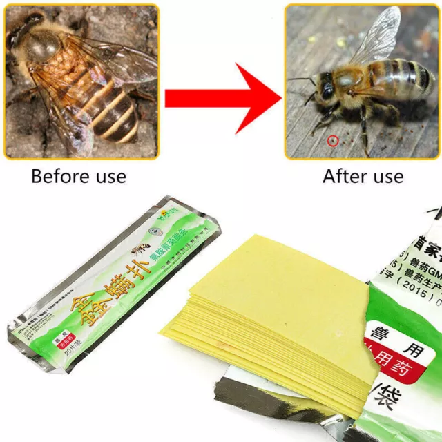 20x Set Bee Biene Tötung gegen Mite Schädlingsbekämpfung Flumethrin Varroa