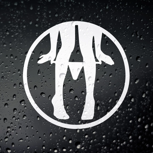 Panty Dropper JDM Japanese Motorsports De Cut Vnyl Decal Stcker for