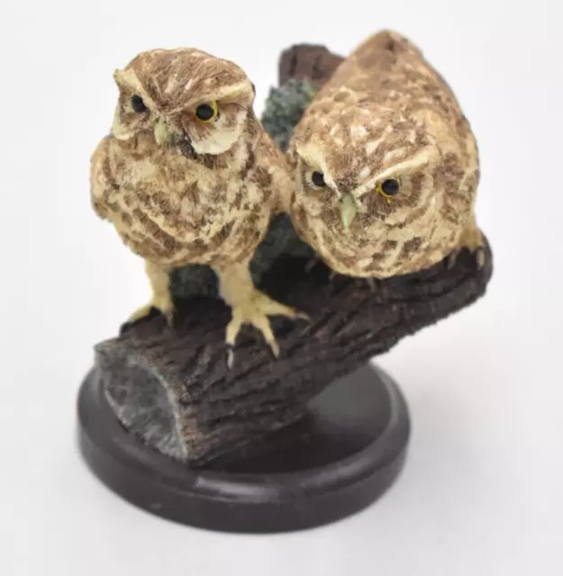 The Country Bird Collection The Little Owl Bird Figurine Statue Ornament