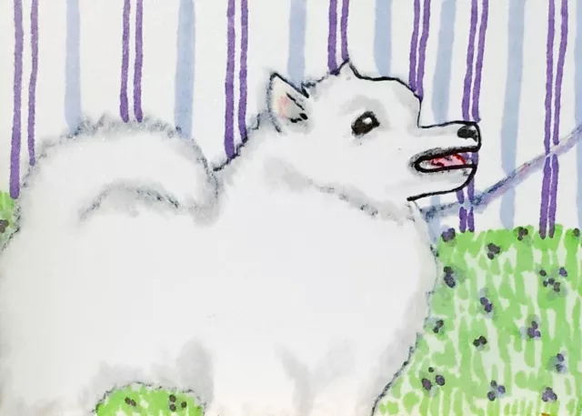 AMERICAN ESKIMO Show Dog Art 8 x 10 Signed Print Eskie Artist KSams