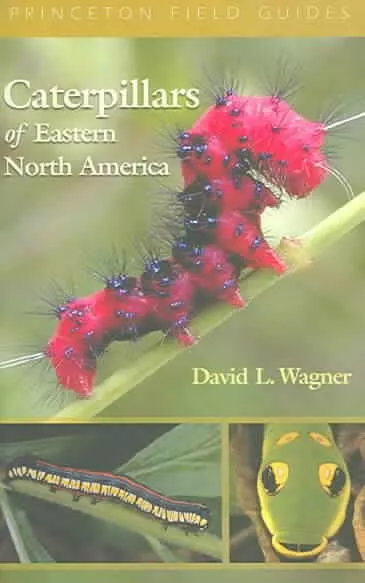 Caterpillars Of Eastern North America : A Guide To Identification And Natural...