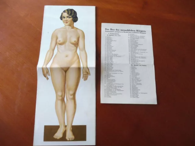 altes Anatomie, Biologie Faltbild der Frau,
