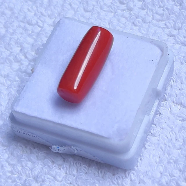 Cabochon de corail italien naturel de qualité AAA+, pierres précieuses en...