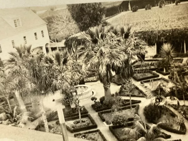 (AdF) FOUND Photo Photograph Santa Barbara Mission Garden Rare View Beautiful