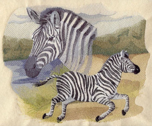 Embroidered Ladies T-Shirt - Spirit of the Zebra J4091 Sizes S - XXL