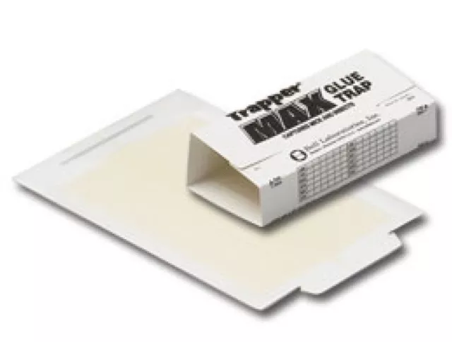 24 Trapper Max Mouse Mice Small Rodent Insect Spider Control Glue Board Traps