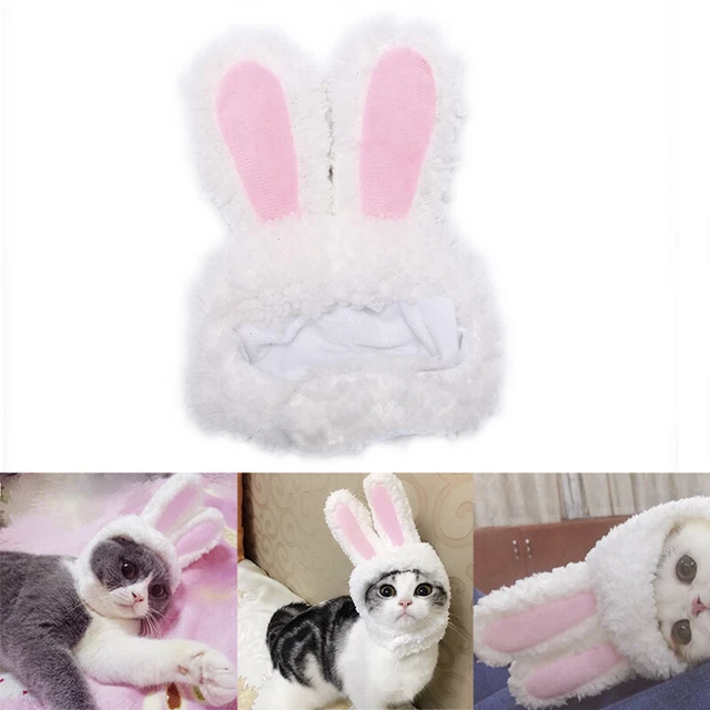 Cappello orecchie coniglio gatto coniglio coniglio animale domestico gatto costumi cosplay per gatto festa cani di piccola taglia^