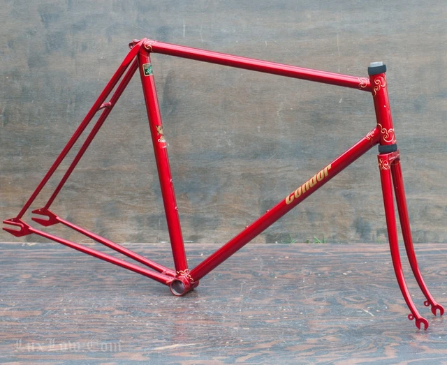 RARE CADRE ANCIEN PROTEUS siècle 60 cm L'Eroica Reynolds 531 Campagnolo