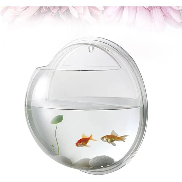 6" Wall Mounted Fish Small Aquarium Hanging Wall Decor for Plant Fish Ecosphere