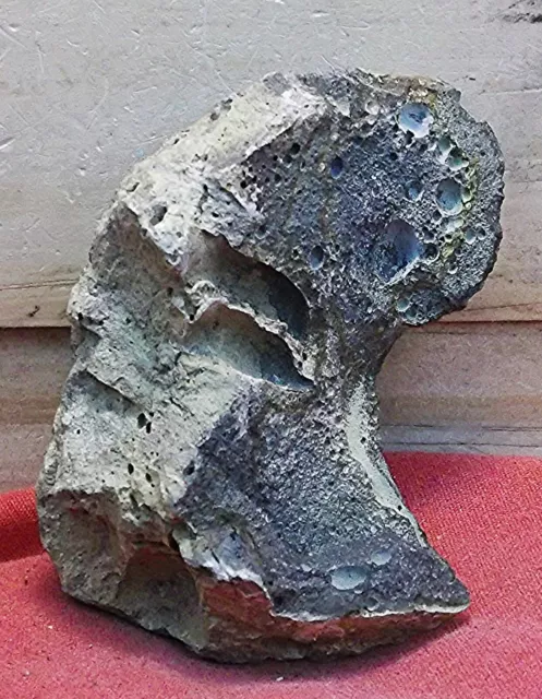 Prehistoric Stone Multi-Tool/Effigy/Rock Art/Sculpture/Birdstone/Pareidolia -D1