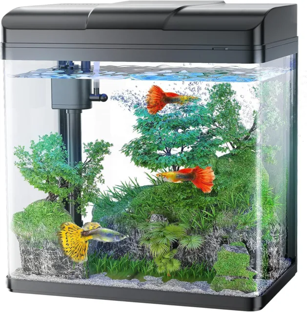 PONDON Fish Tank, 1.7 Gallon Glass Aquarium with Air Pump & LED Light & Filter,