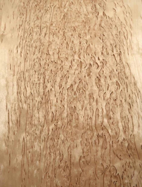 Máser de abedul chapa de madera abedul abedul incrustación 1G 80x26cm 2 hojas