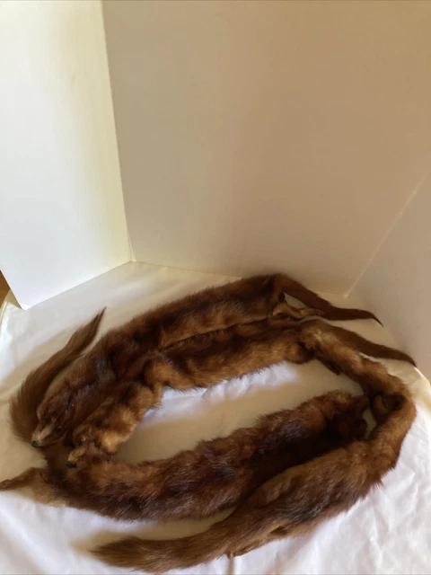 Vintage Genuine 4 Pelt Red FOX Fur Neck Wrap Stole Heads Tail Feet