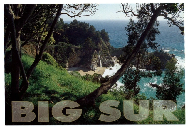 California Big Sur Julie Pfeiffer Burns State Park aerial view ~ postcard sku487