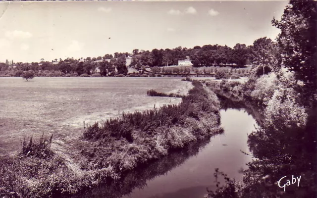 CPA 50 NORMANDY approx. Avranches DUCEY Vallée de la Sélune & les Grands Prés 1950