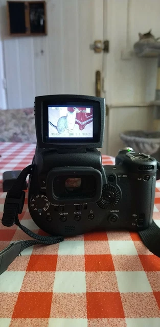 Appareil photo SONY Cyber-shot DSC-R1 bon état 