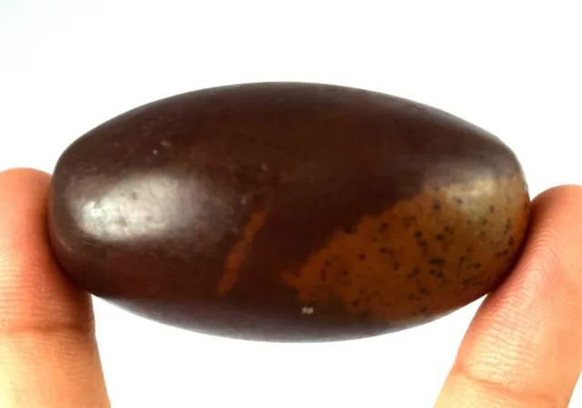 Natural 2.03" Shiva Lingam Meditation Stone 59.40 Gram Realistic Crystal Healing