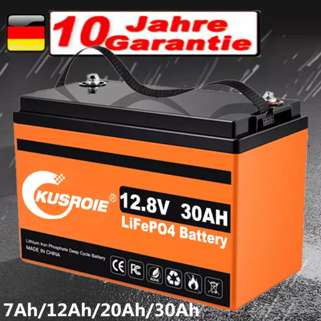 12V 30Ah Lithium Batterie LiFePO4 Akku mit BMS 8000+ Zyklen für Wohnmobil Boot