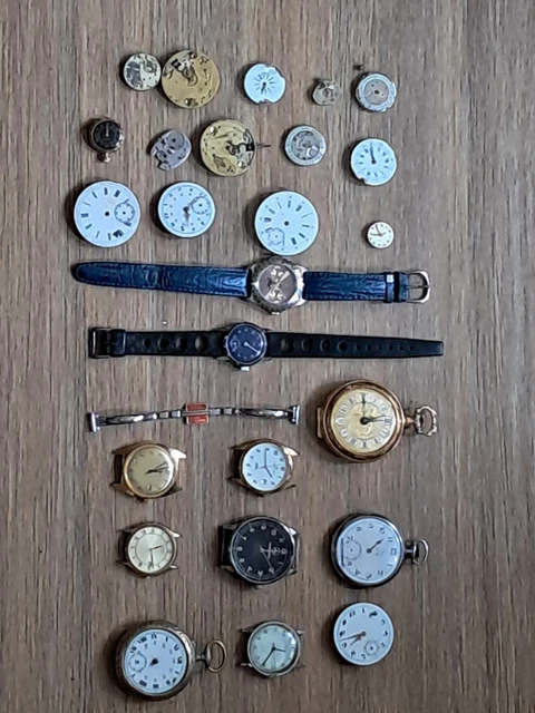 Lot De Plusieurs Montres à Restaurer – Analogiques Et Digitales, Divers Styles Et Marques