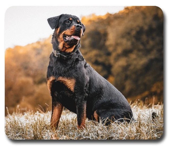 Rottweiler Dog Pure-breed ~ Mouse Pad / PC Mousepad ~ Computer Home Office Gift