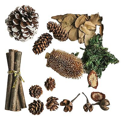 14 piezas/cono de pino fijo adorno sin olor vida larga natural