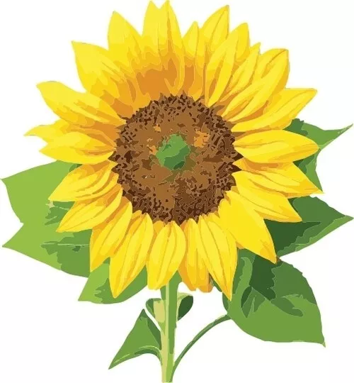 Sunflower SVG Clipart for Designers, For Logo, Projects, Design