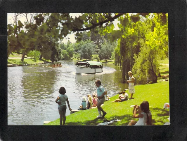 B5151 Australia SA Adelaide River Torrens Popeye Boat postcard