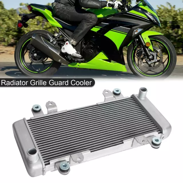 Protezione radiatore raffreddamento radiatore per KAWASAKI NINJA 300 EX300 EX 300 2013-2017 Silver