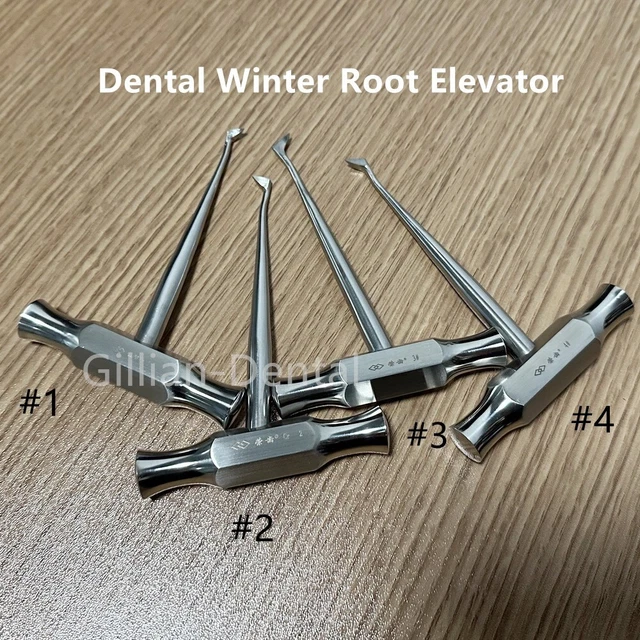 DENTAL TOOTH ROOT Extraction Winter Root Elevator Stainless Steel