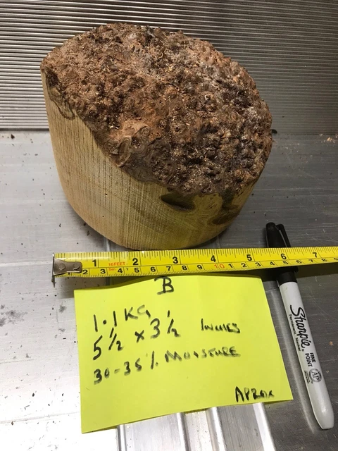 Olmo Burr / Giro de madera / Pegado / Fabricación de bolígrafos en blanco