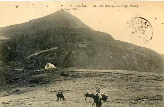 Postcards // Le Cantal // Un Paturage Au Puy Mary